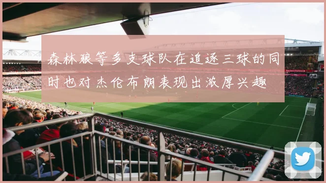 森林狼等多支球队在追逐三球的同时也对杰伦布朗表现出浓厚兴趣