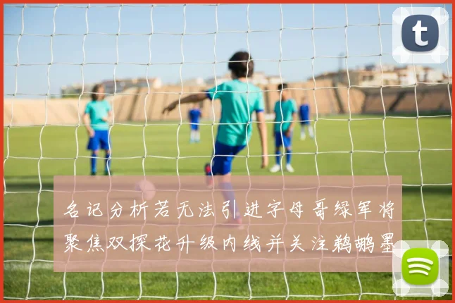 名记分析若无法引进字母哥绿军将聚焦双探花升级内线并关注鹈鹕墨菲